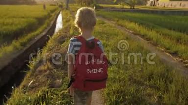 放学回家路上，稻田绿草中的孩子。